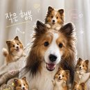 세븐일레븐 동작제일점 | 2026.04