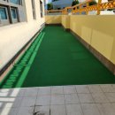 코오롱애견 이미지