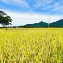 반딧불이마을영농조합법인 이미지