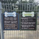 구갈레스피아(어린이놀이터) | 용인 애견운동장 기흥호수공원 잔디공원 피크닉 구갈레스피아 반려견놀이터