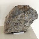 대구가톨릭대학교역사박물관 이미지