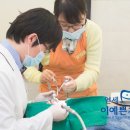 의정부연세이예쁜치과교정과치과의원 이미지