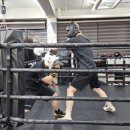 용인대SM복싱클럽 길동점 이미지