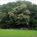 대1리 경로당 이미지