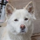 백구우체국 이미지