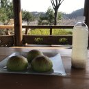 무릉도원후도인성학교 이미지