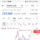 3월 코덱200 일봉차트 와 현재일봉 이미지