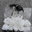 드라이데이 이미지