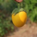 요한이네농장 이미지