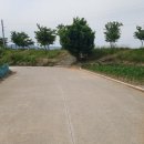 갯목마을 | 동해시 여행 후기 1탄.(북평초등학교,전천강,북평동 게스트하우스)
