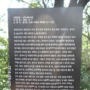 한북삼각비봉단맥종주 - 북한산 한자락 비봉능선 암릉의 시원한 조망과 앵봉 봉산으로 이어지는 치유의 산책로로 초대합니다 이미지