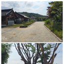 돈암카 네이버블로그