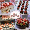 치킨플러스 청주사창점 | [빕스 딸기축제] 빕스 청주커넥트현대점 | 평일 런치 메뉴 솔직 후기