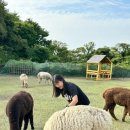 현준목장 이미지