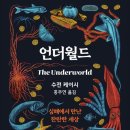 찬란한