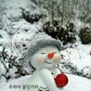 몽양길 티스토리