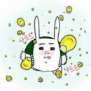 사르르 이미지