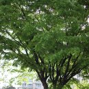 만월어린이공원 이미지