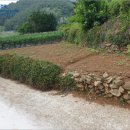 남해-305 이미지