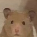 더스타일짐[386] | [공지] CU 신상 | 황치즈 버터모찌 &amp; 크림 가득 쿠키슈 솔직 후기