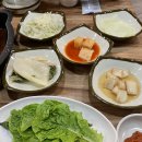 오리세상 이미지