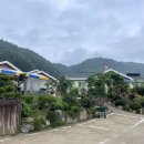 아름애견 이미지