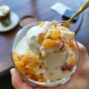 영천목장 | 경북 영천 감성 카페 추천 카페 온당 솔직 방문 후기 재방문 의사 100%