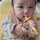 이건사자 | 모윰 사자 치발기 후기, 4개월 아기 이앓이 필수템 추천