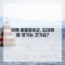 이천날개정형외과의원 | 이천 마장면 정형외과에서 알려드리는 '특정 각도에서만 욱신!' 어깨 충돌증후군, 왜 그럴까요?