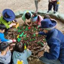 본아미어린이집 이미지