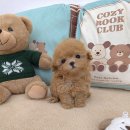 꽃강아지 이미지