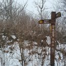 학여울길 이미지