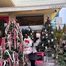 더숲애플트리어린이집 | 광주 헬로키티 트리 카페 라이크앤 후기 크리스마스 시즌 꼭 가야 할 곳