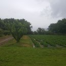 단비농장 이미지