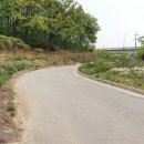 안산테콤길 이미지