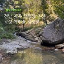 아리솔 | 곡성 계곡캠핑장 추천, 아리솔 캠핑장 S사이트, 계곡 후기
