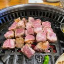 고기가자
