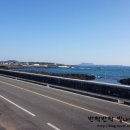 제주지인 게스트하우스 이미지