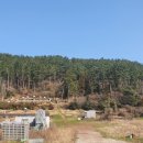 세븐일레븐제주정실점 이미지