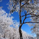 12월22일 남원 만행산 산행 이미지