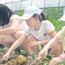 원평팜스테이마을 한국경제