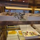 노는피자 나는치킨 | 대전 쿠우쿠우 가수원점 주차 및 솔직후기, 유성점·대전점 비교