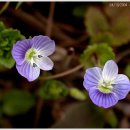 광흥창전철역 4번출구 이미지