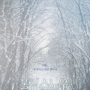 (주)얼라이드시스템 | 폴링 스노우 Despite The Falling Snow 리뷰 그럼에도 불구하고 우리는 사랑했었다