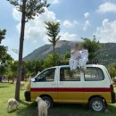 베테랑목장 이미지