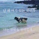 왜 아직 추운건지 궁금한 4월