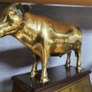 범당골농장 이미지