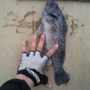 바다랜드 이미지