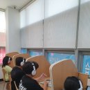 그레이스윤