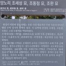 양노리 조세성묘, 조동점묘, 조완묘 | 사당-윤계선생 4순절비-정원채고가-남양홍씨열려-남양풍화당-조세성묘-금산사-수성최씨-우성전묘-우하영묘